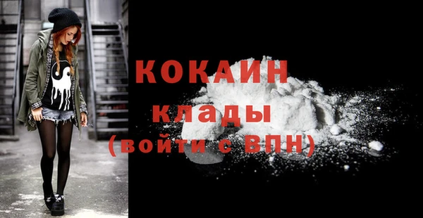 твердый Богородицк