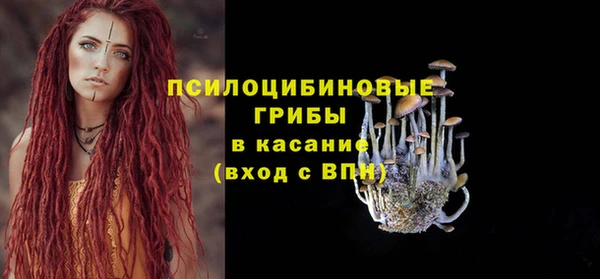 прущие крисы Богородск