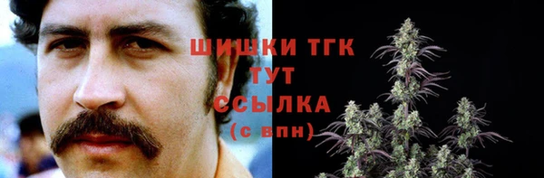 твердый Богородицк