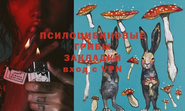 прущие крисы Богородск