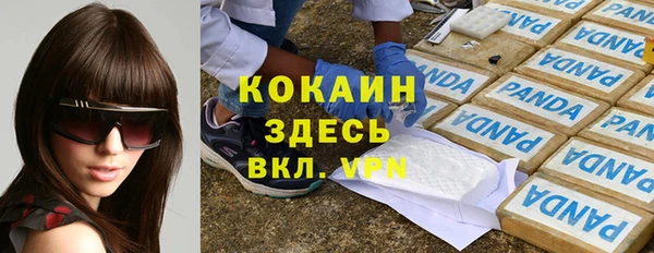 твердый Богородицк
